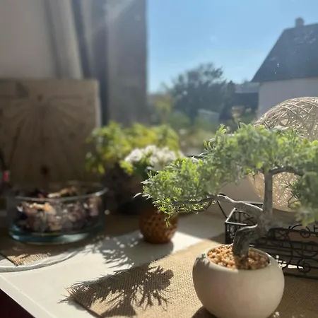 Le Gite De La Menuiserie Maisoncelles-la-Jourdan Extérieur photo